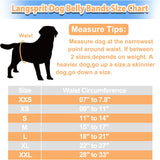 Langsprit Bandas para vientre masculino para perros machos