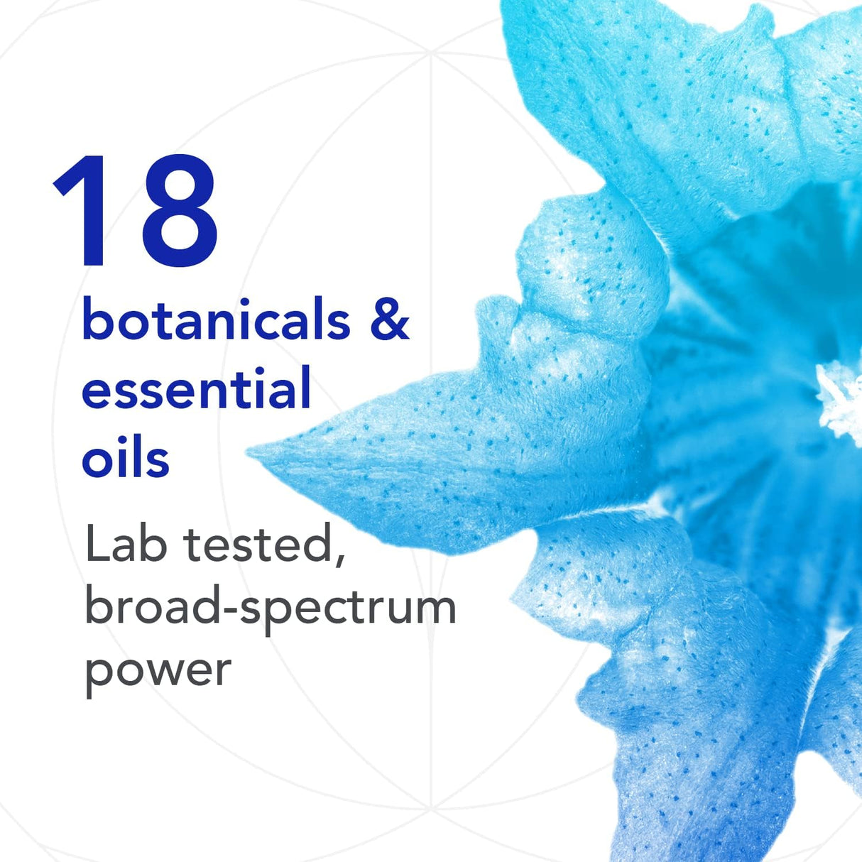 Suplementos Biocidin 90 Cápsulas