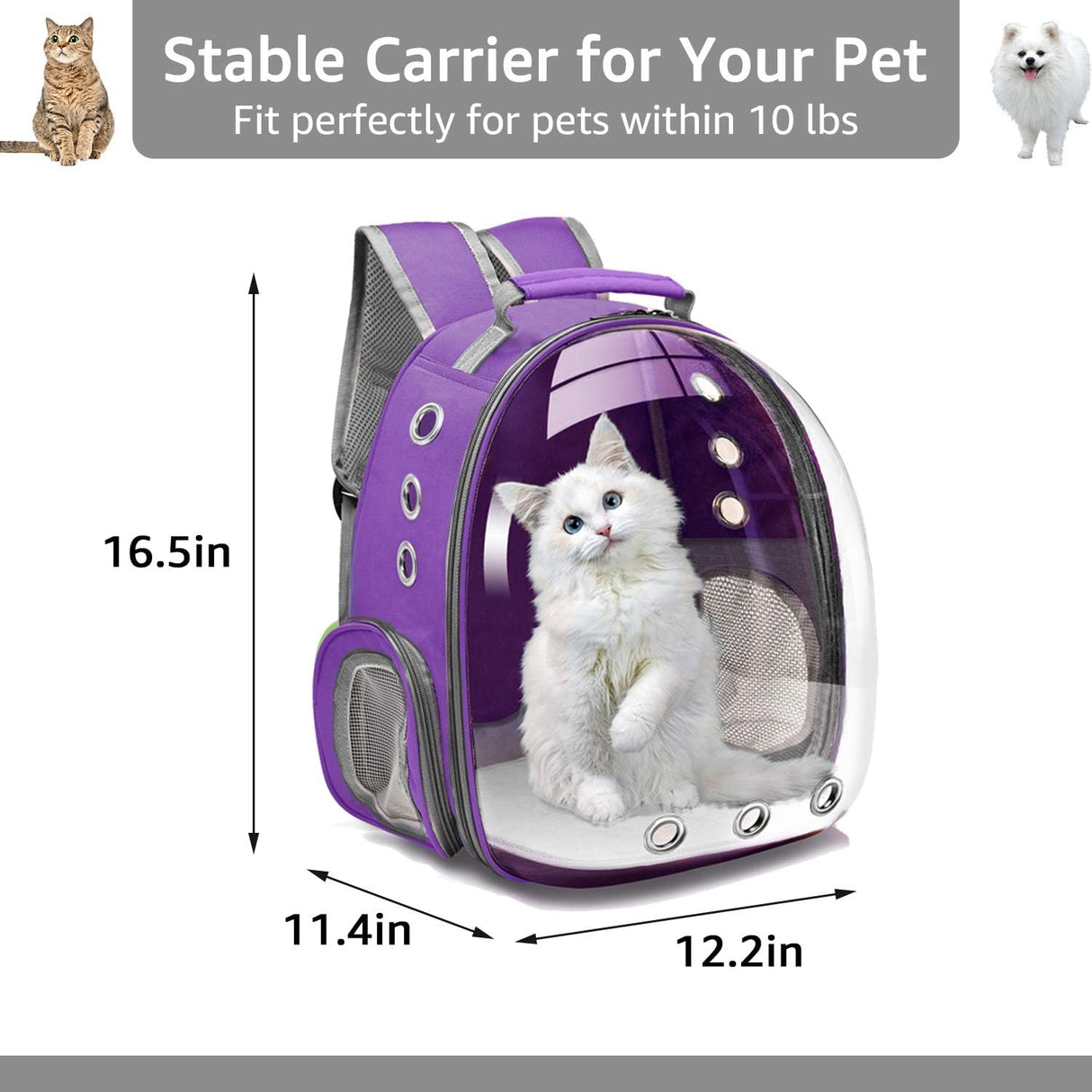 Mochila con capsula espacial para transportar gatos lila