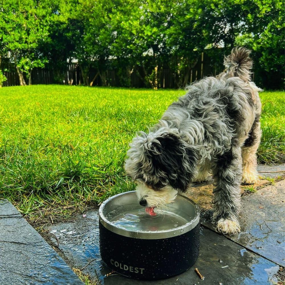 Cuenco Frío para Mascotas Antioxidante, Antideslizante 42oz