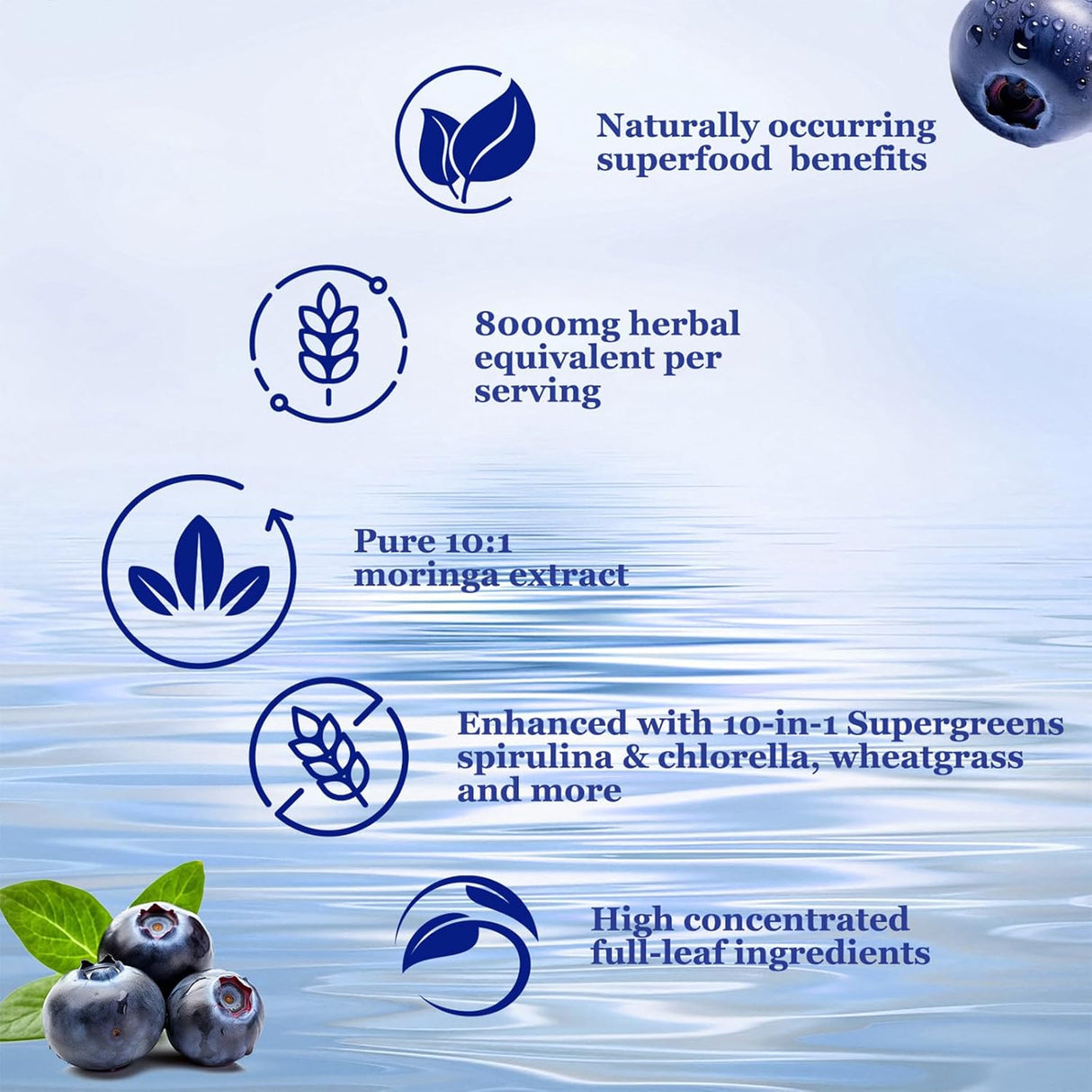 Moringa Líquido Orgánico 8000mg, Supergreens, Alta Potencia