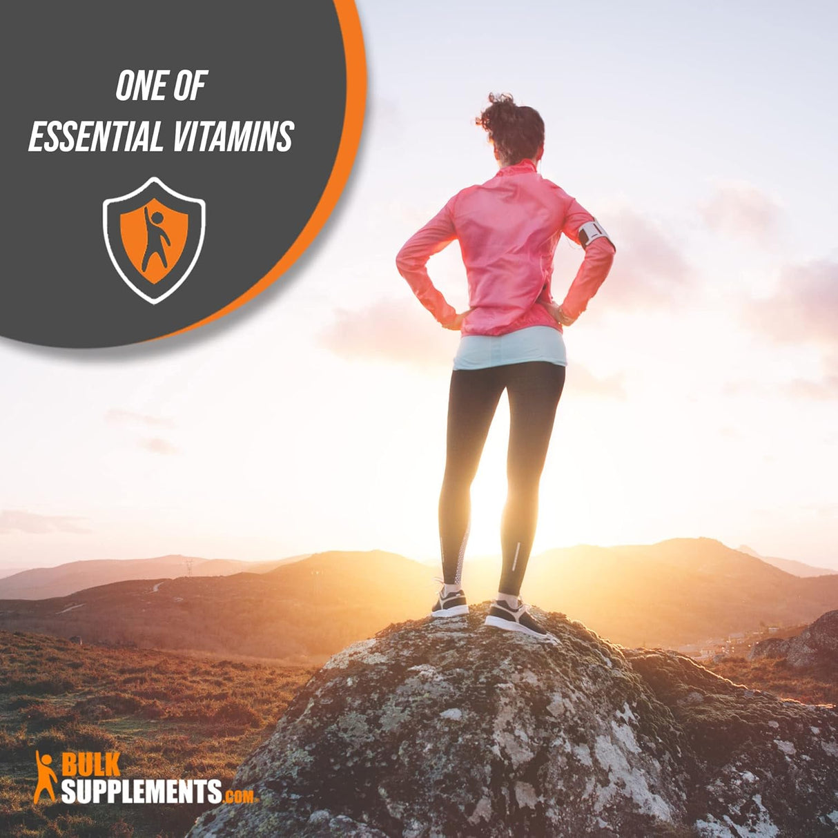Suplemento Polvo de niacina de vitamina B3 500 mg