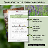 Colección de Semillas de Hierbas Medicinales - Sow Right Seeds