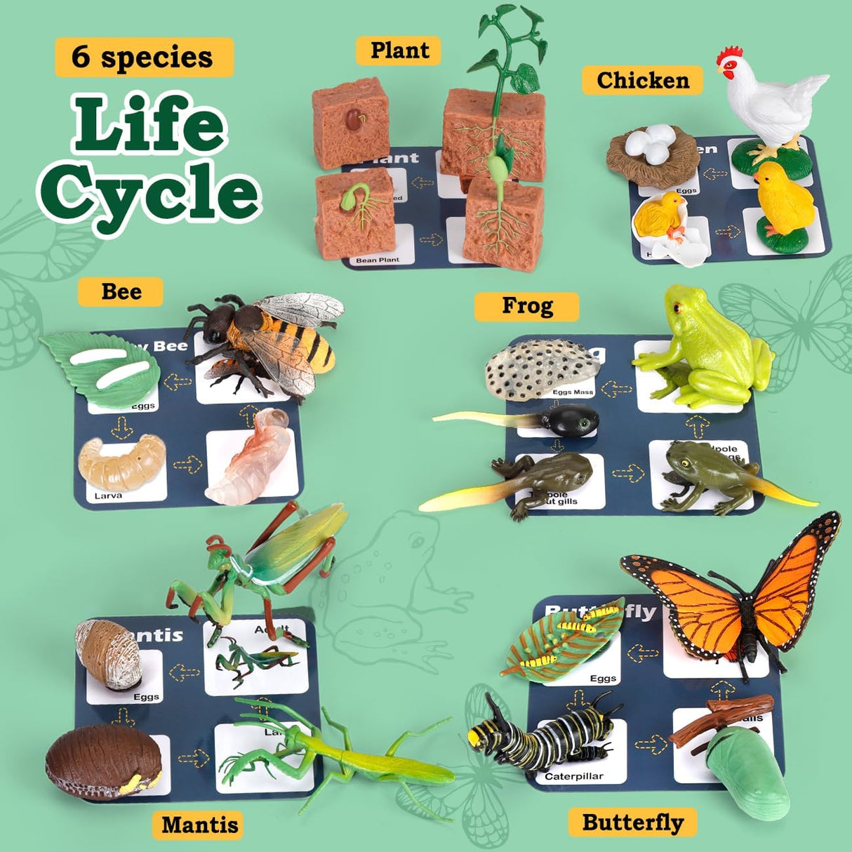 Juguetes de Ciclo de Vida para Niños - Kits de Ciencia 25 Pzs