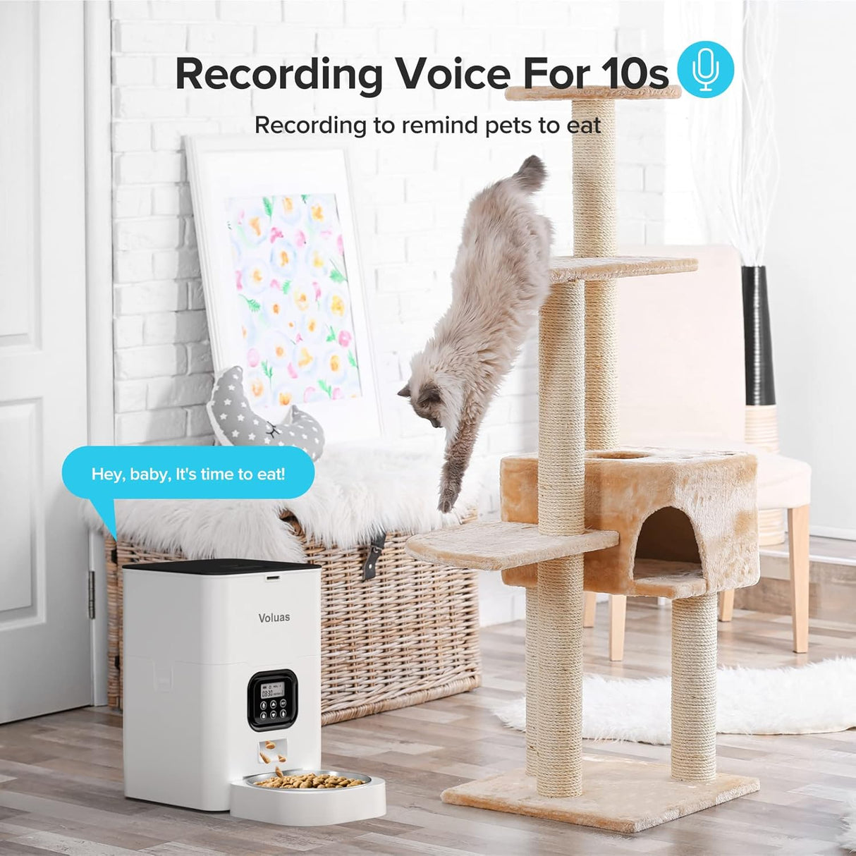 Comederos y Bebederos automáticos para gatos