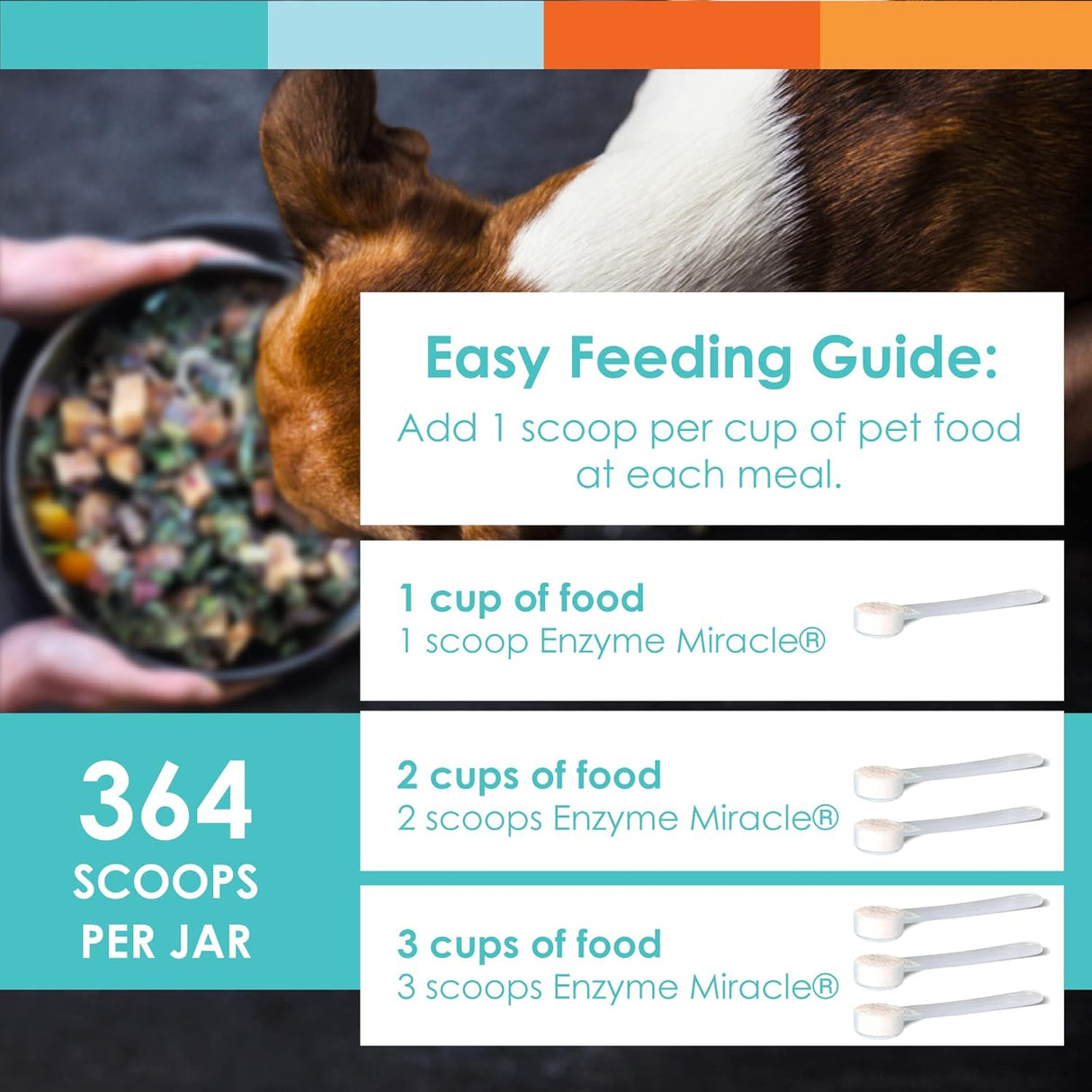Enzimas Digestivas para Perros y Gatos - Enzyme Miracle, 364 Scoops
