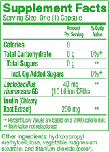 Suplementos probióticos digestivos