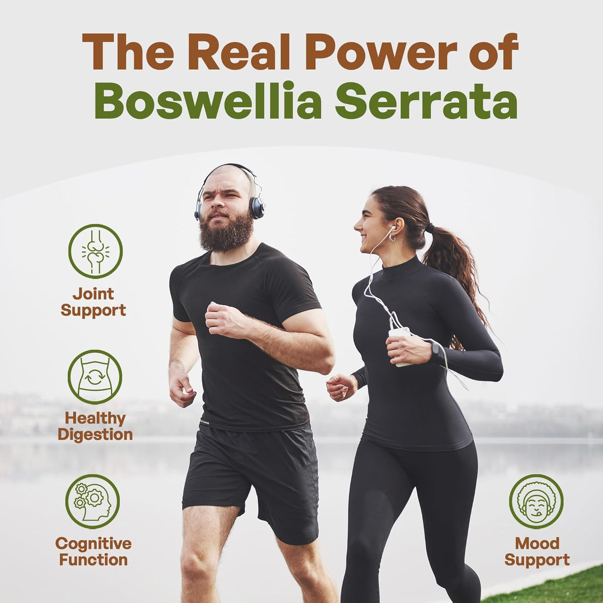 Extracto de Boswellia Serrata 10:1 65% Ácido Boswélico Apoyo Articular