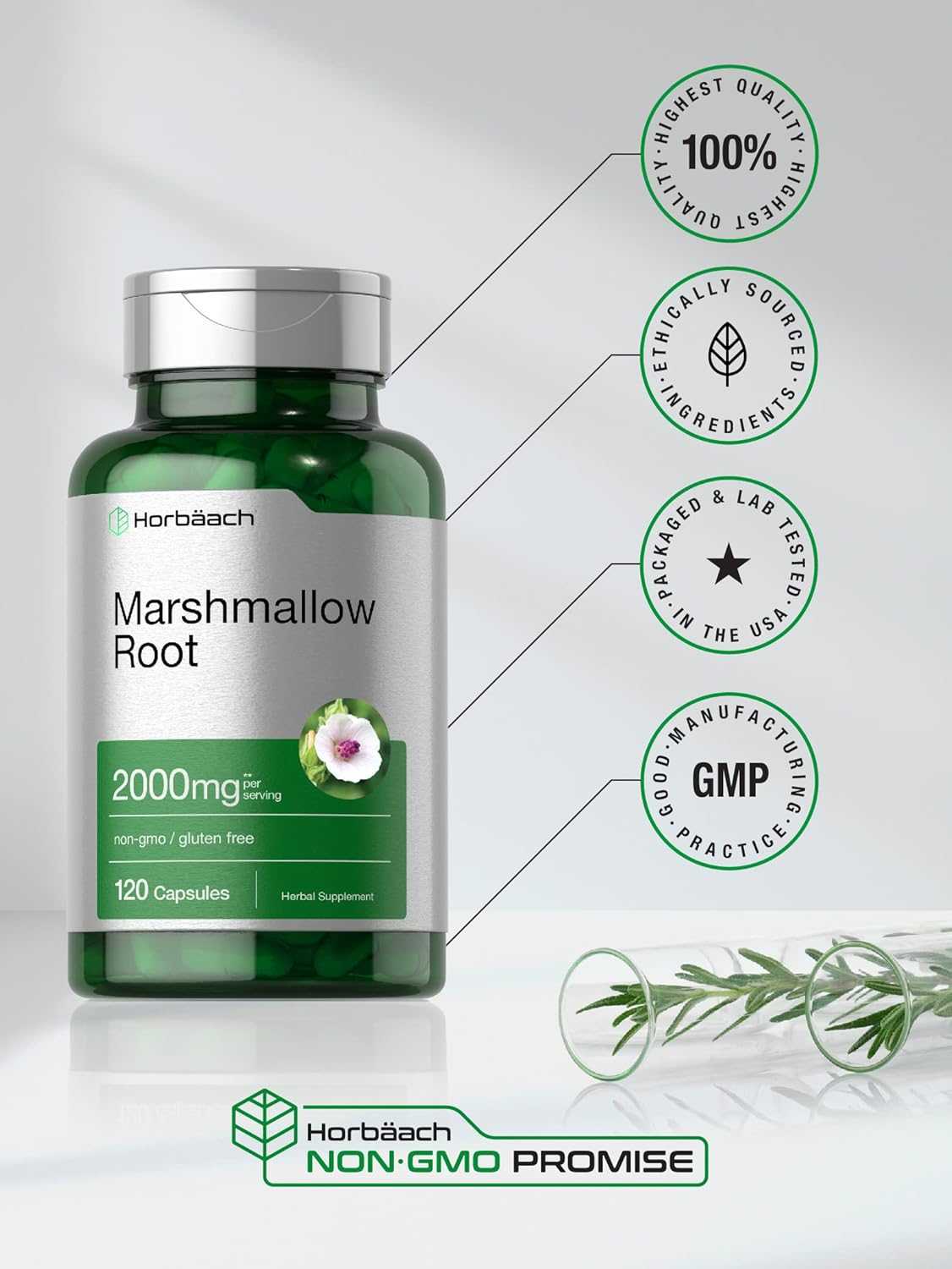 Suplemento Horbaach Cápsulas de raíz de malvavisco  2000 mg