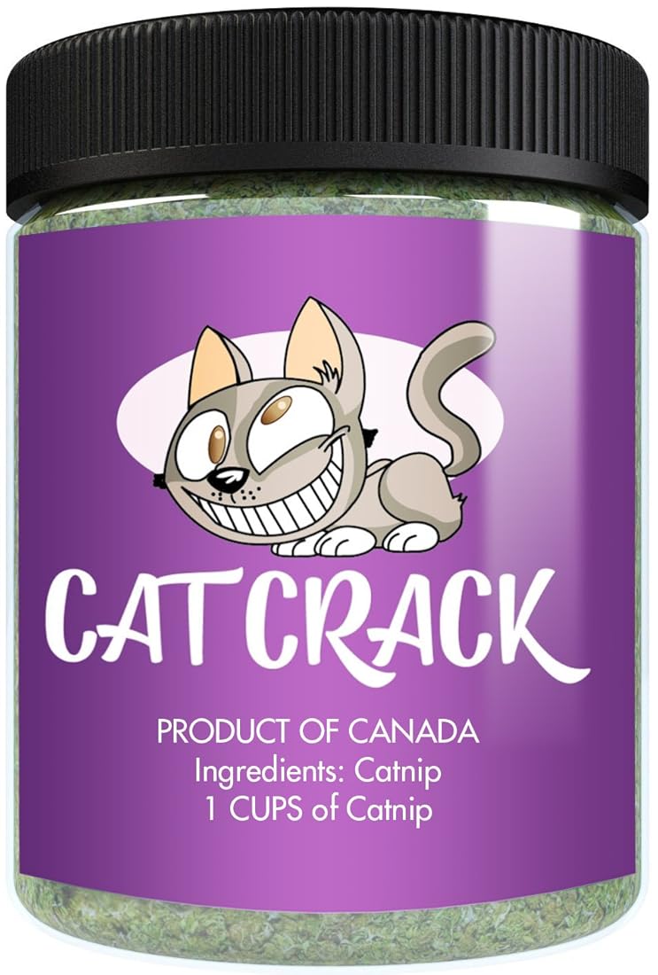 mezcla premium segura para gatos