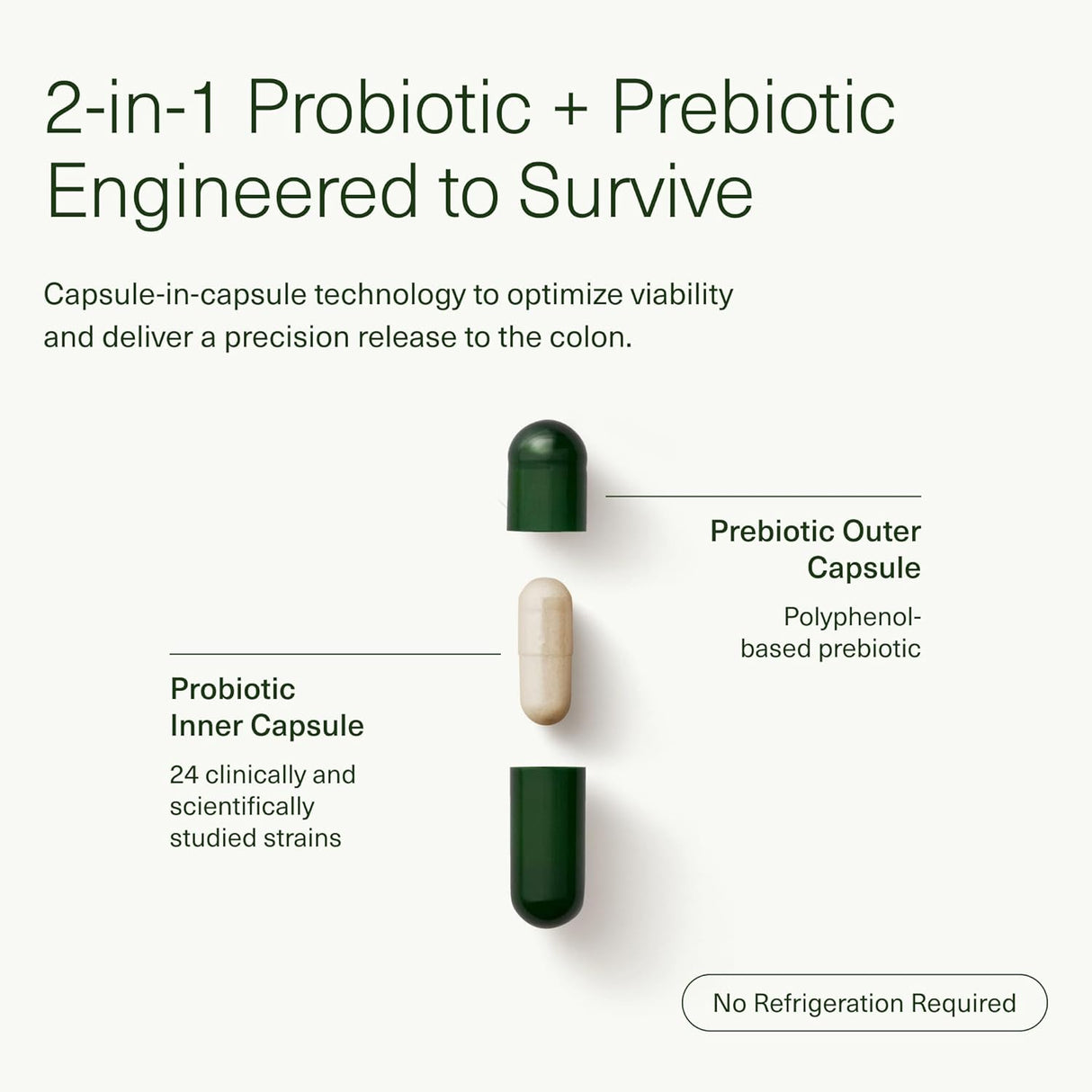 Suplemento de Probióticos y Prebióticos para la Salud Digestiva - 14 Días