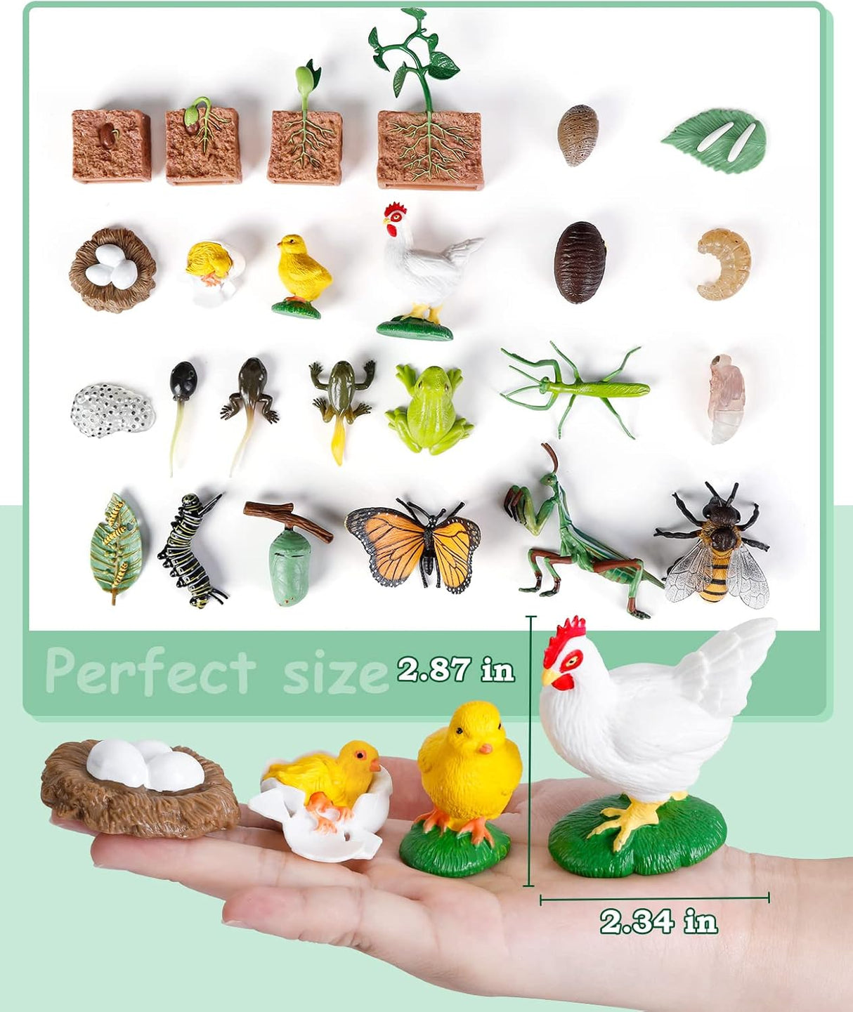 Juguetes de Ciclo de Vida para Niños - Kits de Ciencia 25 Pzs
