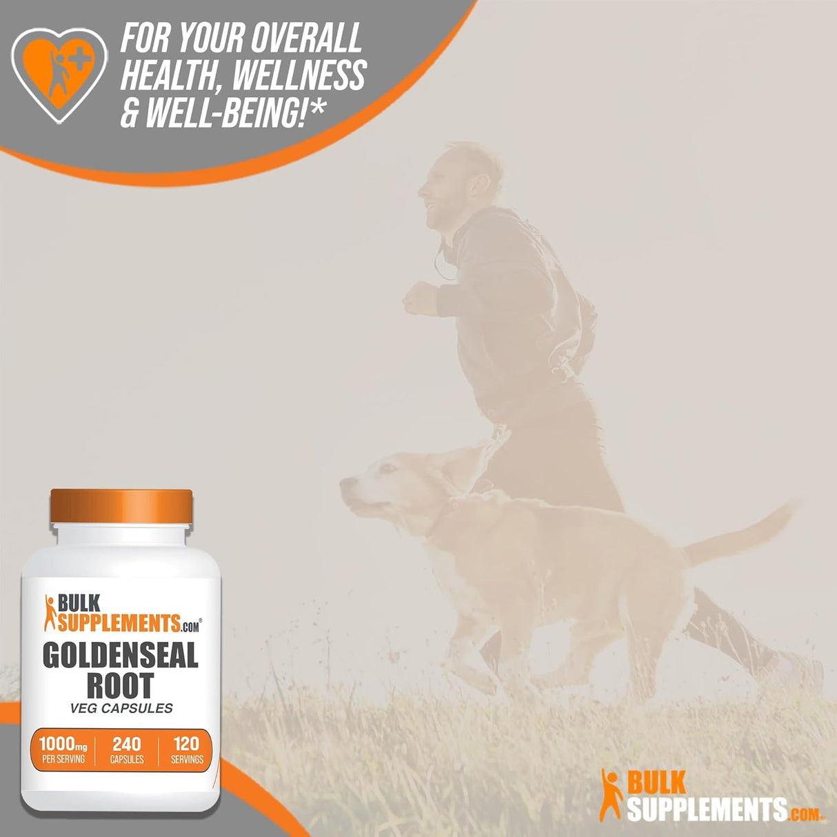 Suplemento BULKSUPPLEMENTS Goldenseal raíz de sello dorado