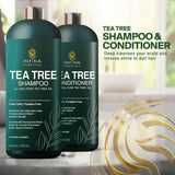 Juego de champú y acondicionador de aceite de árbol de té.