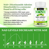 Suplemento NMNH 500mg de NMN, Antienvejecimiento, 120 cápsulas
