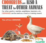 Larvas de mosca secas de alta calidad, para gallinas y demas