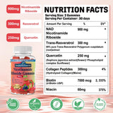 Gomitas NAD Sin Azúcar, Suplemento Antienvejecimiento 900mg