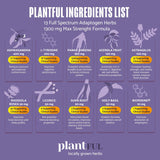 Suplemento de Apoyo Adrenal y Cortisol, Adaptógenos, Ashwagandha, Rhodiola