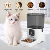 Comedero automático para gatos con control de aplicación