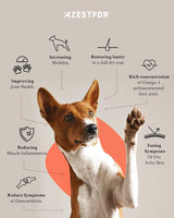 Vitaminas mejillón labial antiinflamatorio para perros