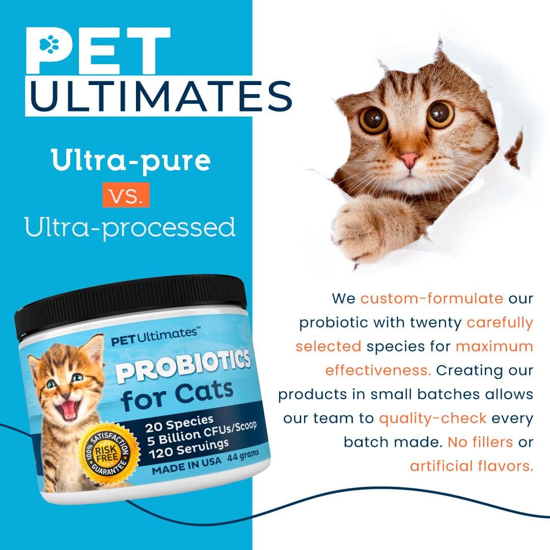 Probióticos para gatos