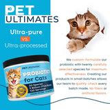 Probióticos para gatos