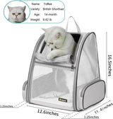 Mochila para transporte de gatos color gris