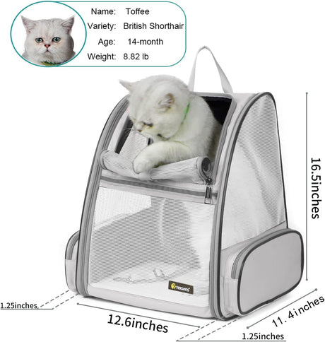 Mochila para transporte de gatos color gris
