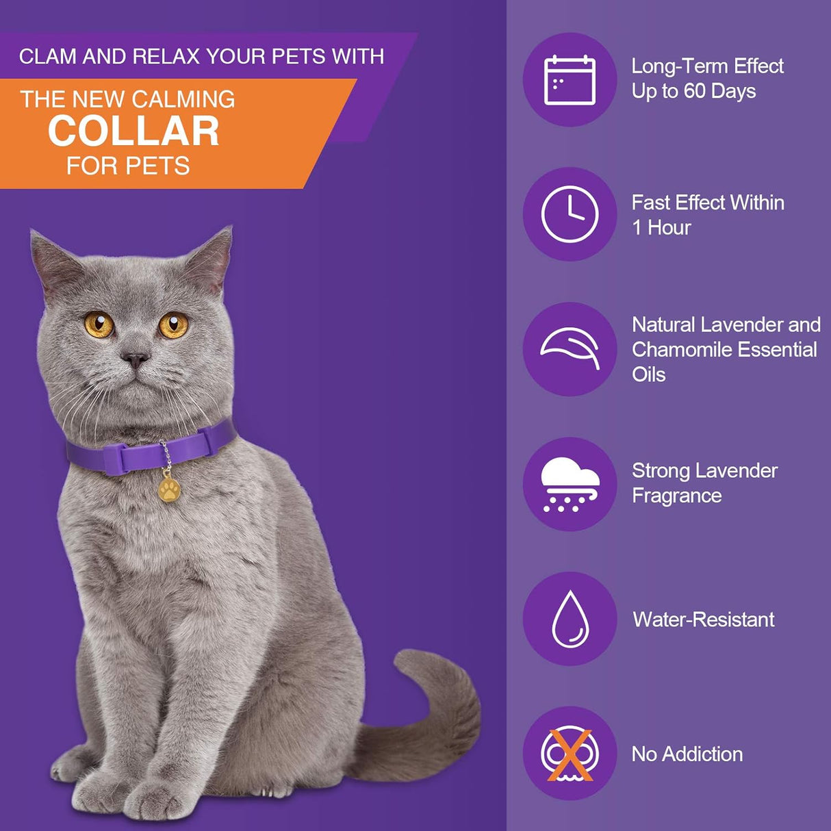 4 collares calmantes para gatos color lila Weewooday