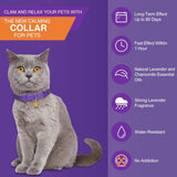 4 collares calmantes para gatos color lila Weewooday