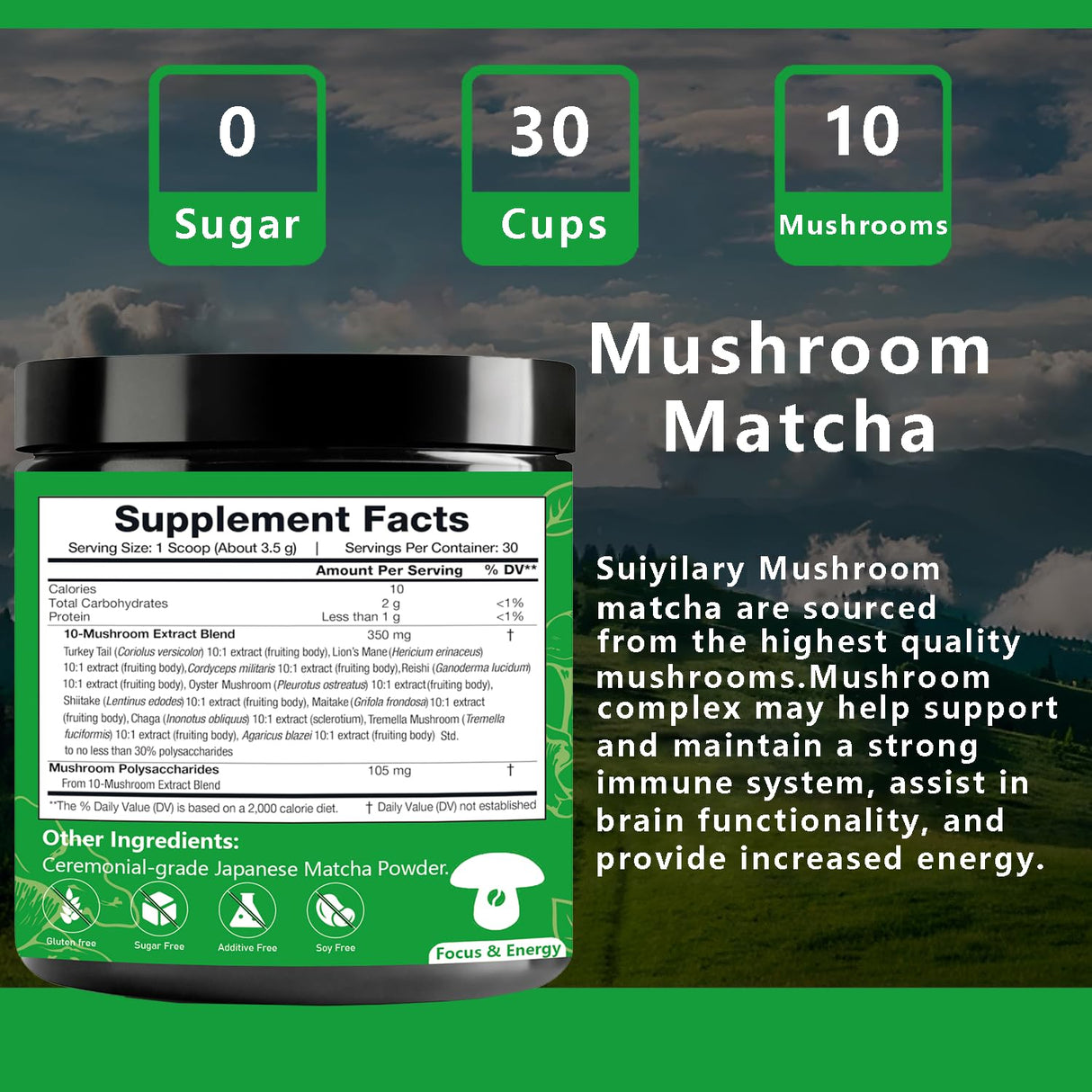 Polvo de Matcha con Hongos, 3500mg, 30 Porciones, 10:1