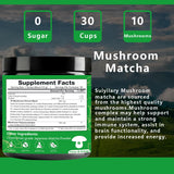 Polvo de Matcha con Hongos, 3500mg, 30 Porciones, 10:1