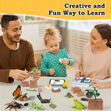 Juguetes de Ciclo de Vida para Niños - Kits de Ciencia 25 Pzs