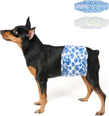 Dono Pañales desechables para perros machos,20 unidades