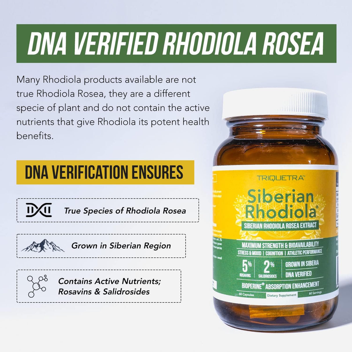 Suplemento Rhodiola siberiana  rosa de máxima fuerza  60 un