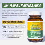 Suplemento Rhodiola siberiana  rosa de máxima fuerza  60 un