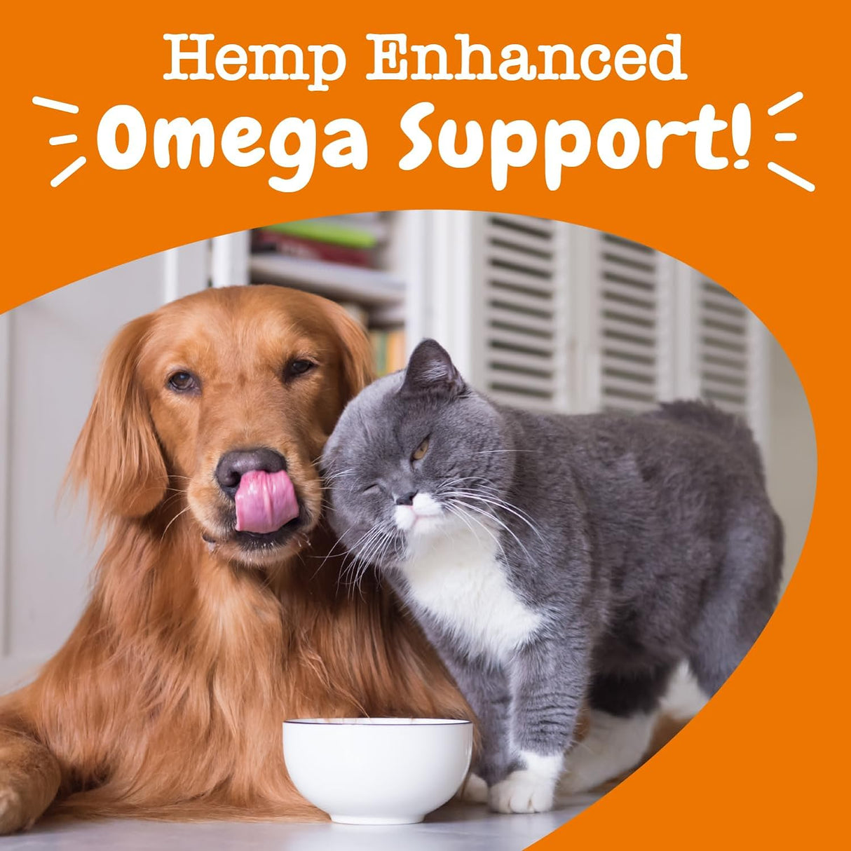 Zesty Paws Aceite de cáñamo omega de salmón para perros y gatos con aceite de salmón salvaje de Alaska Omega 3 y 6 ácidos grasos con EPA DHA para mascotas que apoya la humedad normal de la piel y la