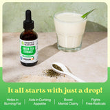 Suplemento Extracto de té verde – 1000 mg  50% EGCG 2 oz.