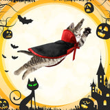 Disfraces 5 piezas de disfraz de Halloween talla única