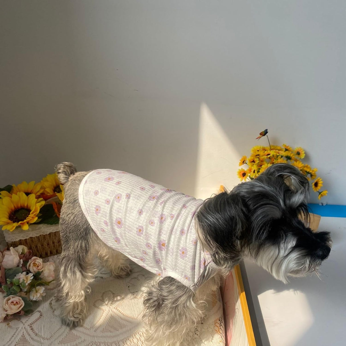 Camiseta de Verano para Mascotas Estampado de Margarita