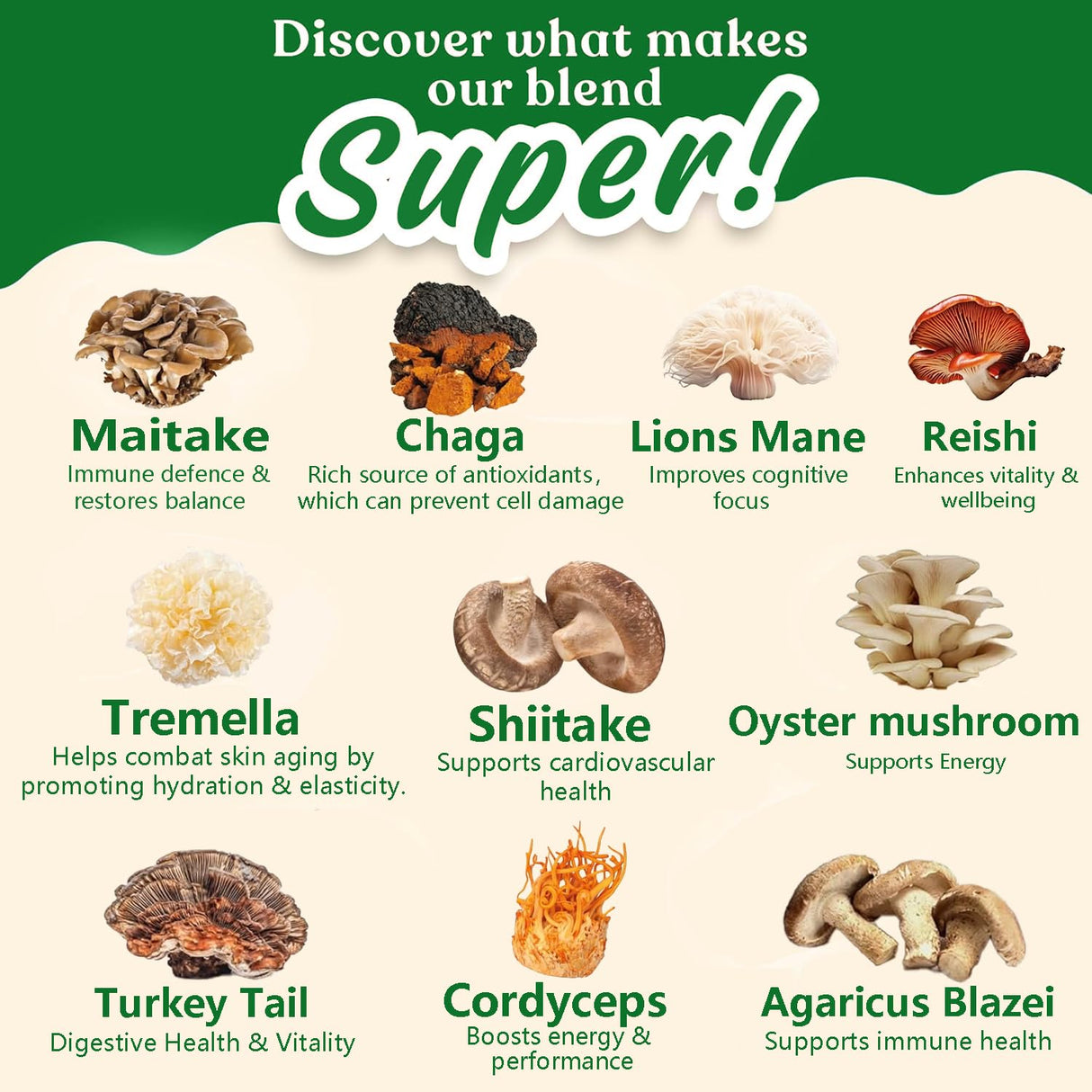 Polvo de Matcha con Hongos, 3500mg, 30 Porciones, 10:1
