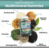 Gummies de Musgo Marino y Aceite de Semilla Negra - Clean Nutra
