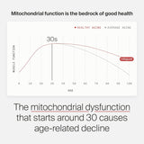 Mitopure Urolithin A Suplemento, Apoyo Salud Envejecimiento, 60 Cápsulas