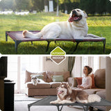 Cama Elevada para Perros Suddus, Impermeable, XL, Portátil