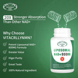 Suplemento Liposomal NAD+ Plus 800MG, Energía Celular y Antienvejecimiento