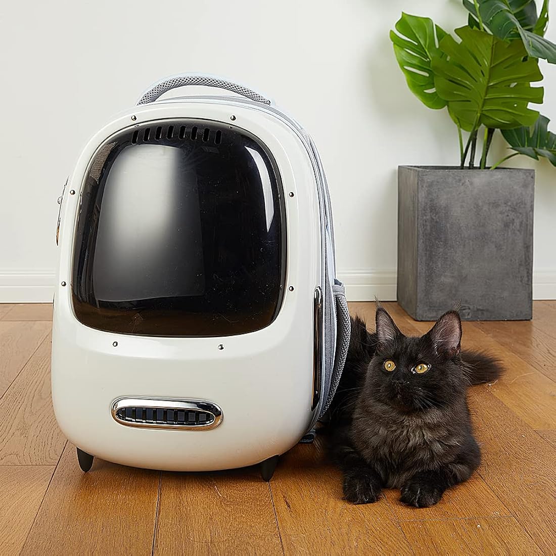 Mochila para gatos y cachorros con ventilador para viajes