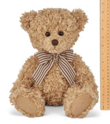 Peluche Osito  17