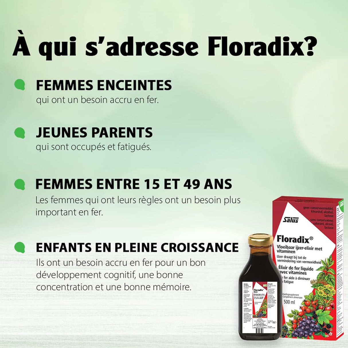 Suplemento Hierro en Fórmula Líquida Floradix