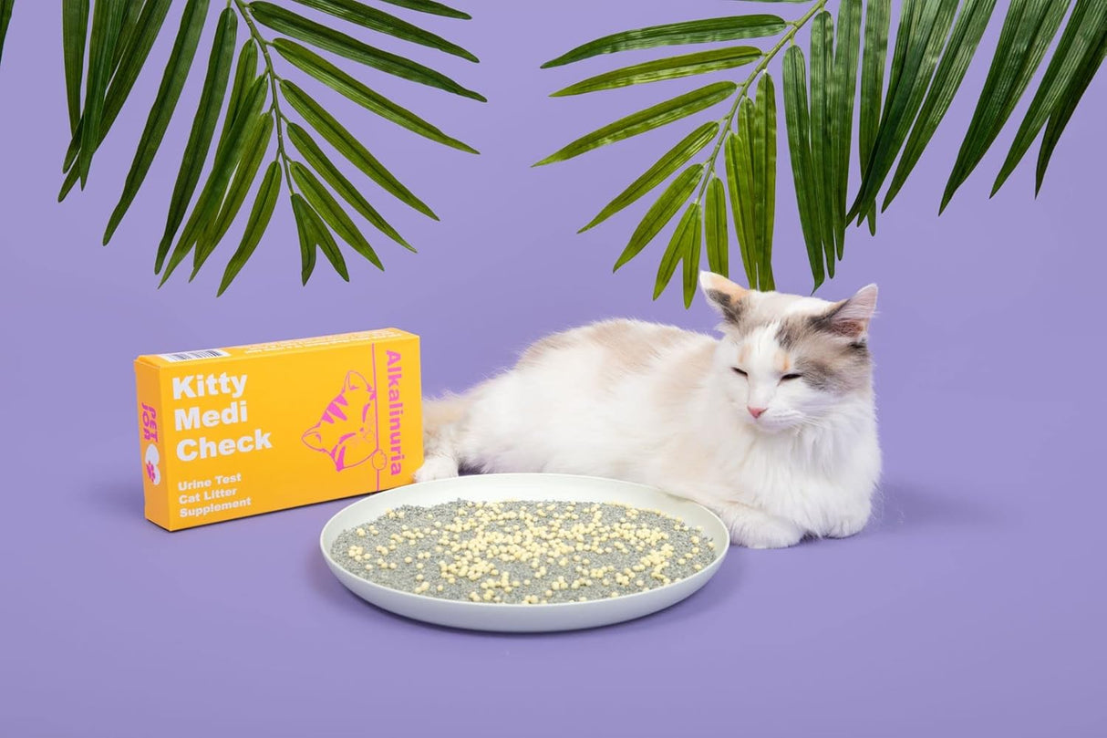 Kit de prueba de salud de orina de gato, de fácil monitoreo