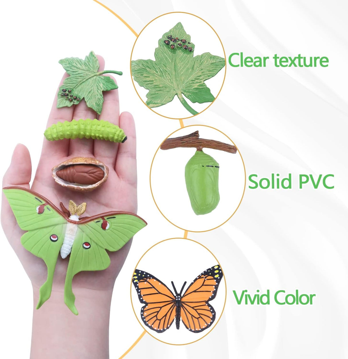 Figuritas de Ciclo de Vida de Mariposas SIENON, 4 Piezas